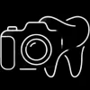 Logo Only